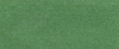 1977-80 Datsun Shamrock Green Poly